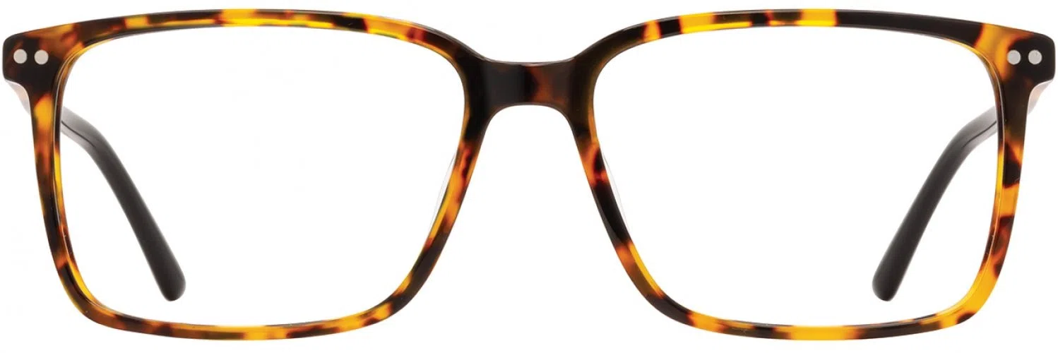 Adin Thomas AT544 Eyeglasses - view 4